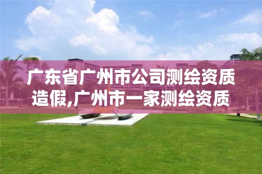 广东省广州市公司测绘资质造假,广州市一家测绘资质单位