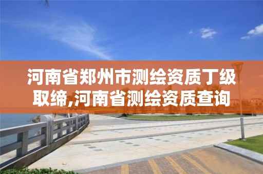 河南省郑州市测绘资质丁级取缔,河南省测绘资质查询