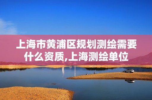 上海市黄浦区规划测绘需要什么资质,上海测绘单位