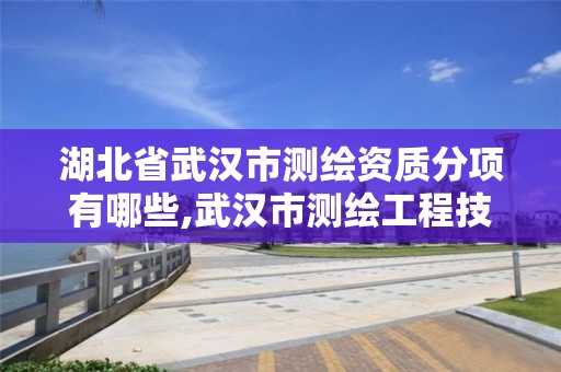 湖北省武汉市测绘资质分项有哪些,武汉市测绘工程技术规定