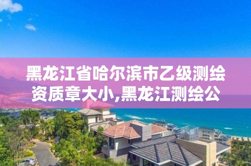 黑龙江省哈尔滨市乙级测绘资质章大小,黑龙江测绘公司乙级资质