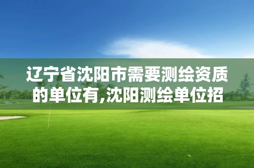 辽宁省沈阳市需要测绘资质的单位有,沈阳测绘单位招聘