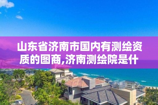 山东省济南市国内有测绘资质的图商,济南测绘院是什么单位。