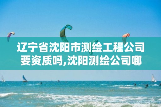 辽宁省沈阳市测绘工程公司要资质吗,沈阳测绘公司哪家强哪家好。