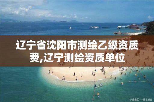 辽宁省沈阳市测绘乙级资质费,辽宁测绘资质单位