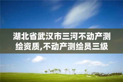 湖北省武汉市三河不动产测绘资质,不动产测绘员三级含金量高吗?。