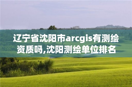 辽宁省沈阳市arcgis有测绘资质吗,沈阳测绘单位排名