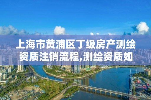 上海市黄浦区丁级房产测绘资质注销流程,测绘资质如何注销