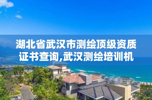 湖北省武汉市测绘顶级资质证书查询,武汉测绘培训机构。