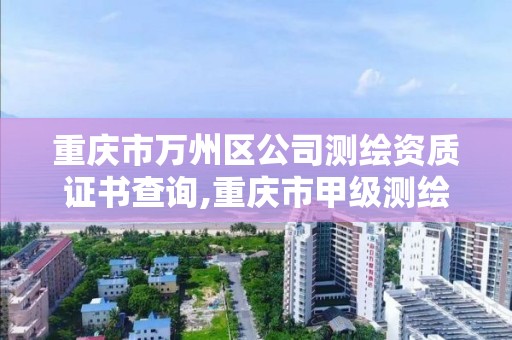 重庆市万州区公司测绘资质证书查询,重庆市甲级测绘资质单位。