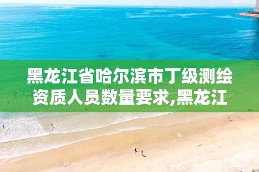 黑龙江省哈尔滨市丁级测绘资质人员数量要求,黑龙江测绘公司乙级资质