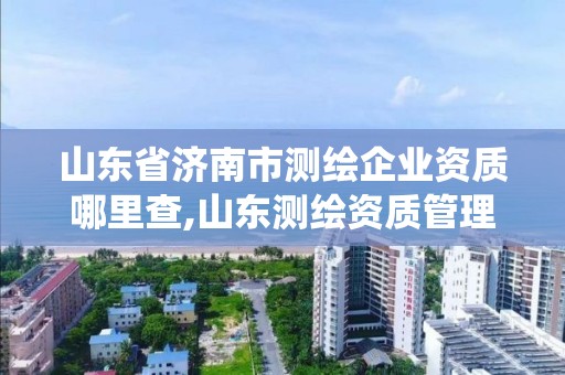 山东省济南市测绘企业资质哪里查,山东测绘资质管理系统