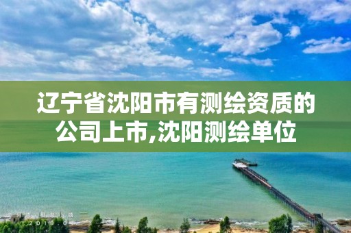 辽宁省沈阳市有测绘资质的公司上市,沈阳测绘单位