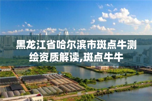 黑龙江省哈尔滨市斑点牛测绘资质解读,斑点牛牛