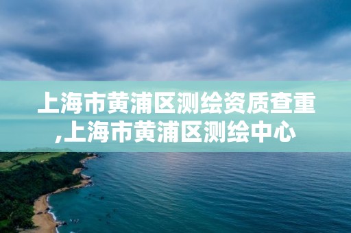 上海市黄浦区测绘资质查重,上海市黄浦区测绘中心