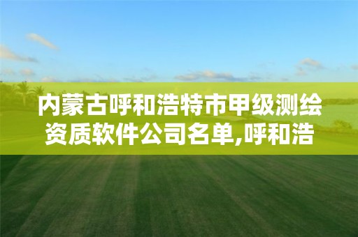 内蒙古呼和浩特市甲级测绘资质软件公司名单,呼和浩特市测绘仪器店。