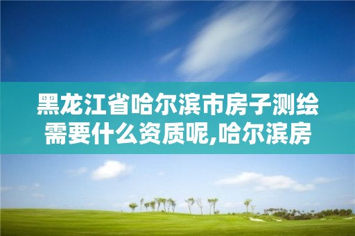 黑龙江省哈尔滨市房子测绘需要什么资质呢,哈尔滨房产测绘公司。