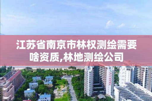 江苏省南京市林权测绘需要啥资质,林地测绘公司