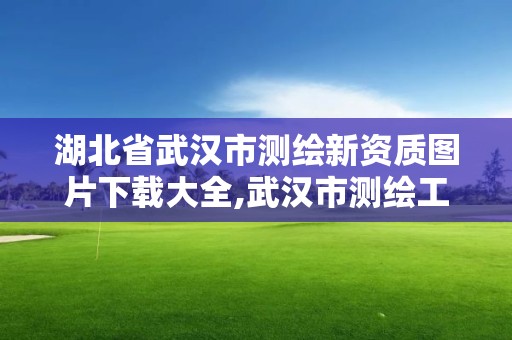 湖北省武汉市测绘新资质图片下载大全,武汉市测绘工程技术规定。