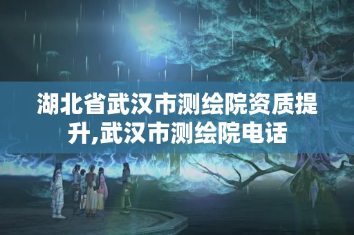 湖北省武汉市测绘院资质提升,武汉市测绘院电话