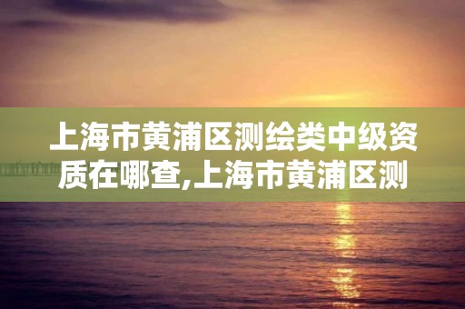 上海市黄浦区测绘类中级资质在哪查,上海市黄浦区测绘类中级资质在哪查到