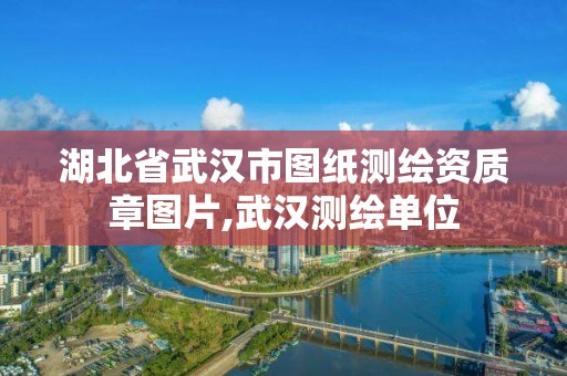 湖北省武汉市图纸测绘资质章图片,武汉测绘单位