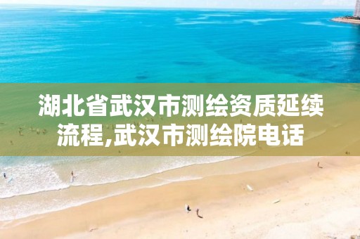 湖北省武汉市测绘资质延续流程,武汉市测绘院电话