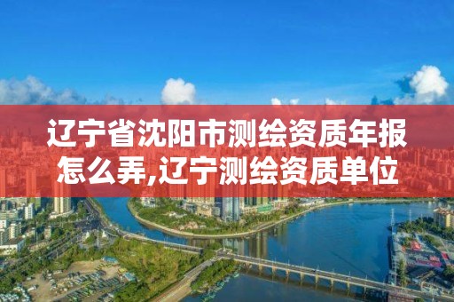 辽宁省沈阳市测绘资质年报怎么弄,辽宁测绘资质单位。