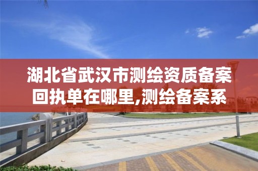 湖北省武汉市测绘资质备案回执单在哪里,测绘备案系统。