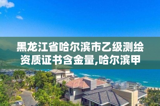 黑龙江省哈尔滨市乙级测绘资质证书含金量,哈尔滨甲级测绘公司