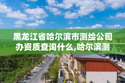 黑龙江省哈尔滨市测绘公司办资质查询什么,哈尔滨测绘局幼儿园是民办还是公办。