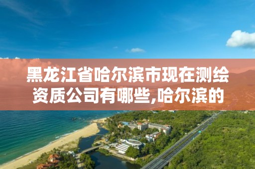 黑龙江省哈尔滨市现在测绘资质公司有哪些,哈尔滨的测绘公司有哪些