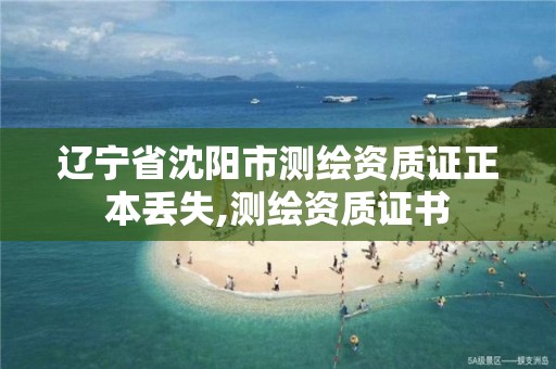 辽宁省沈阳市测绘资质证正本丢失,测绘资质证书