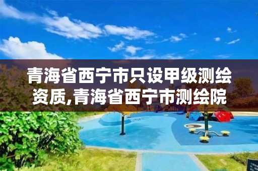 青海省西宁市只设甲级测绘资质,青海省西宁市测绘院