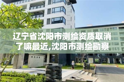 辽宁省沈阳市测绘资质取消了嘛最近,沈阳市测绘勘察研究院