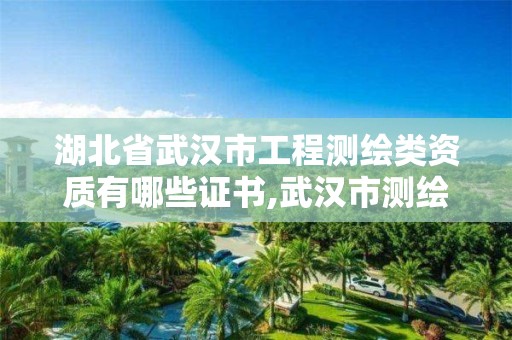 湖北省武汉市工程测绘类资质有哪些证书,武汉市测绘工程技术规定。