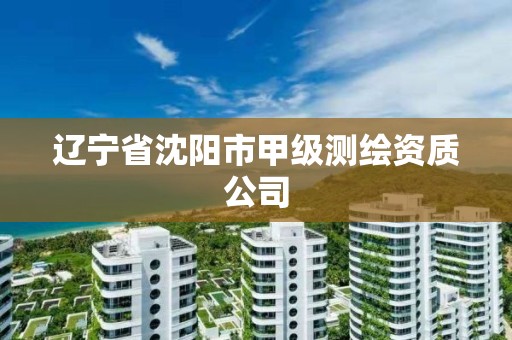 辽宁省沈阳市甲级测绘资质公司