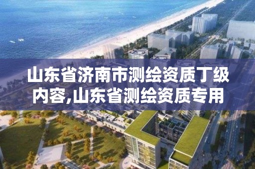 山东省济南市测绘资质丁级内容,山东省测绘资质专用章 丁级