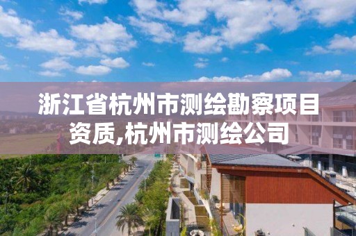 浙江省杭州市测绘勘察项目资质,杭州市测绘公司