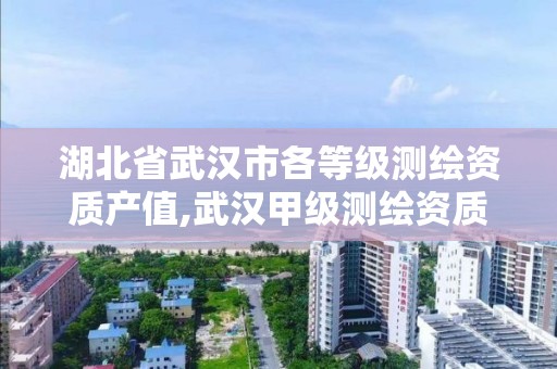 湖北省武汉市各等级测绘资质产值,武汉甲级测绘资质名录