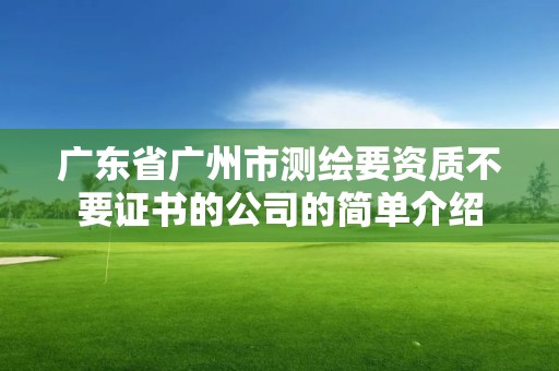 广东省广州市测绘要资质不要证书的公司的简单介绍