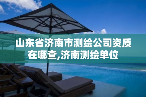 山东省济南市测绘公司资质在哪查,济南测绘单位