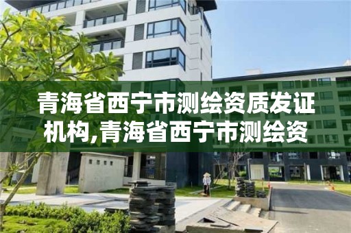 青海省西宁市测绘资质发证机构,青海省西宁市测绘资质发证机构有哪些