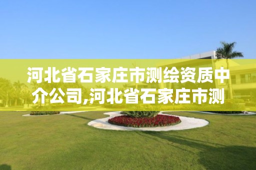 河北省石家庄市测绘资质中介公司,河北省石家庄市测绘资质中介公司有哪些