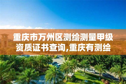 重庆市万州区测绘测量甲级资质证书查询,重庆有测绘资质测绘公司大全。