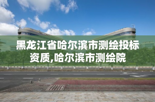 黑龙江省哈尔滨市测绘投标资质,哈尔滨市测绘院