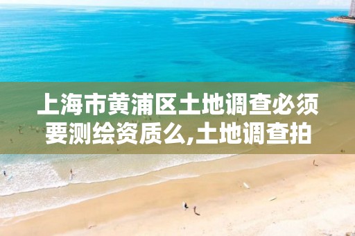 上海市黄浦区土地调查必须要测绘资质么,土地调查拍照。