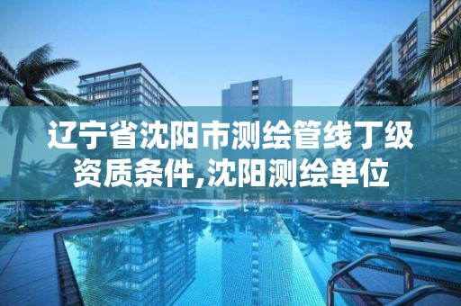 辽宁省沈阳市测绘管线丁级资质条件,沈阳测绘单位