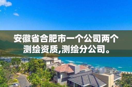 安徽省合肥市一个公司两个测绘资质,测绘分公司。