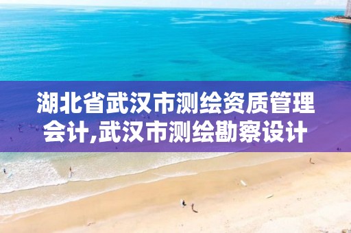 湖北省武汉市测绘资质管理会计,武汉市测绘勘察设计甲级资质公司